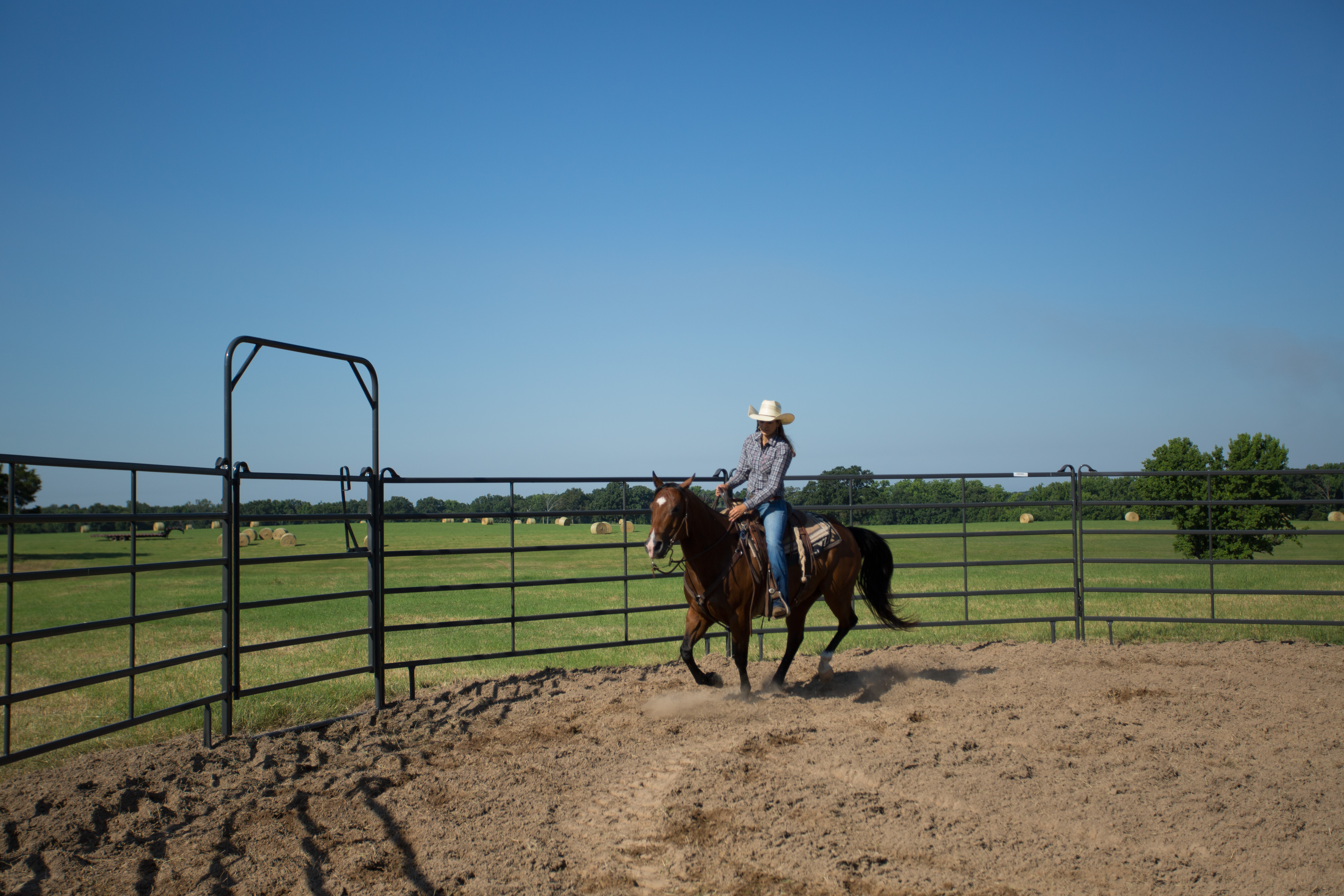 Premier Tall Round Pen PPT50 65.jpg